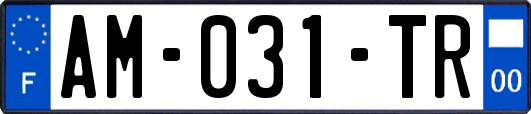AM-031-TR