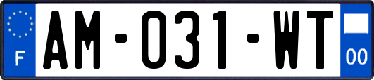 AM-031-WT
