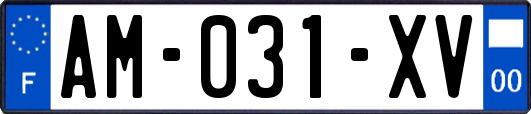 AM-031-XV