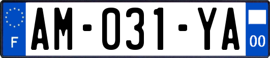 AM-031-YA