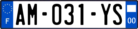 AM-031-YS
