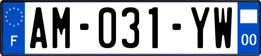 AM-031-YW