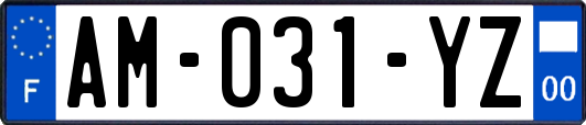 AM-031-YZ