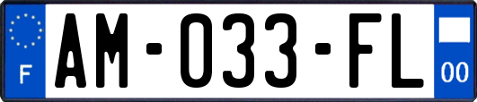 AM-033-FL