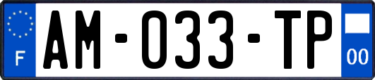 AM-033-TP