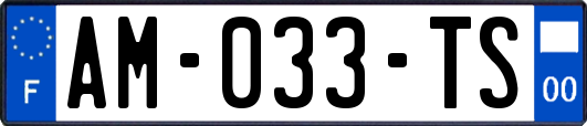 AM-033-TS
