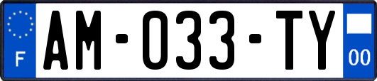 AM-033-TY