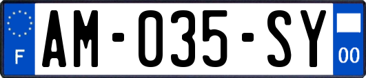 AM-035-SY