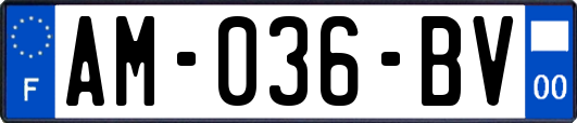 AM-036-BV