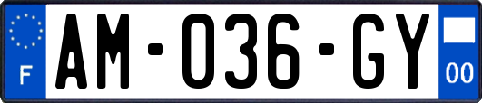 AM-036-GY