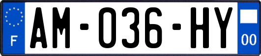 AM-036-HY