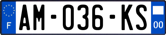 AM-036-KS