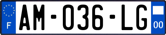 AM-036-LG