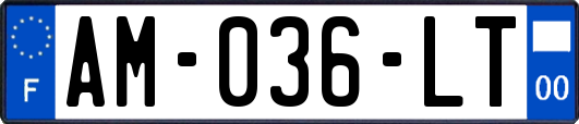 AM-036-LT