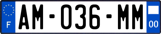 AM-036-MM