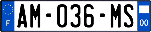 AM-036-MS
