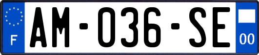 AM-036-SE