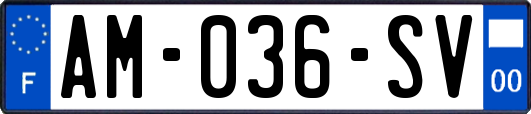 AM-036-SV