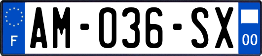 AM-036-SX