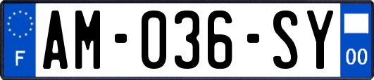 AM-036-SY