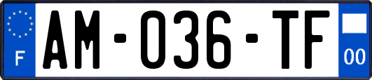 AM-036-TF