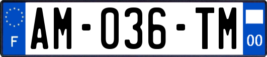 AM-036-TM