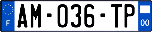 AM-036-TP