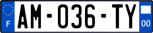 AM-036-TY