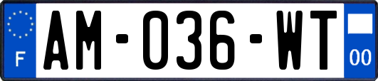 AM-036-WT