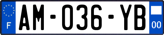 AM-036-YB