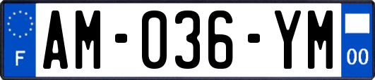 AM-036-YM