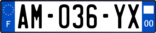 AM-036-YX