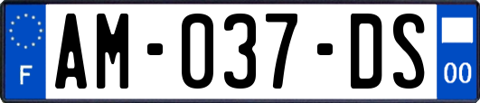 AM-037-DS