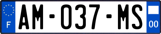 AM-037-MS
