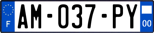 AM-037-PY