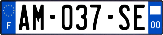 AM-037-SE