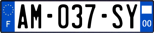 AM-037-SY