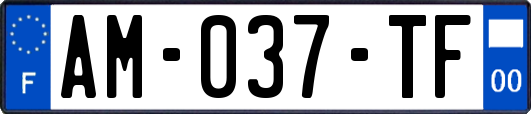 AM-037-TF