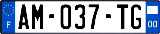 AM-037-TG