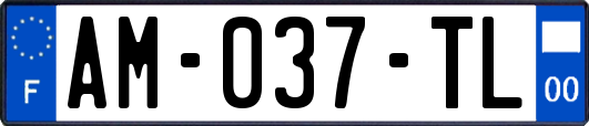 AM-037-TL