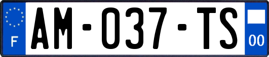 AM-037-TS