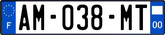 AM-038-MT