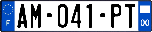 AM-041-PT