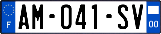 AM-041-SV