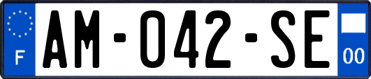 AM-042-SE