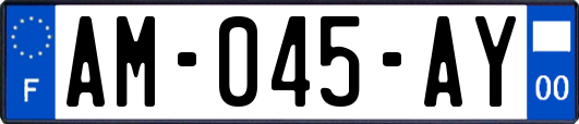 AM-045-AY