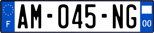 AM-045-NG