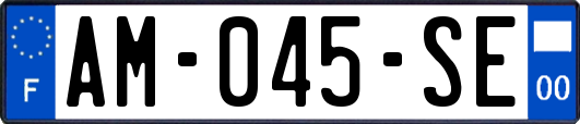 AM-045-SE