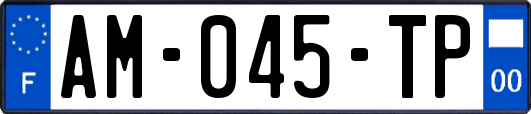AM-045-TP