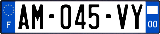 AM-045-VY